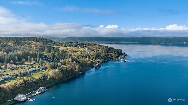 drone / aerial view featuring a water view