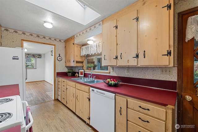 kitchen with a skylight, sink, light hardwood / wood-style flooring, a textured ceiling, and white appliances