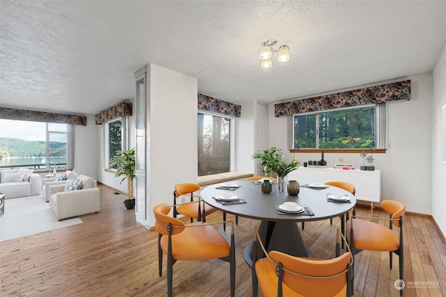 dining area featuring wood-type flooring and a textured ceiling