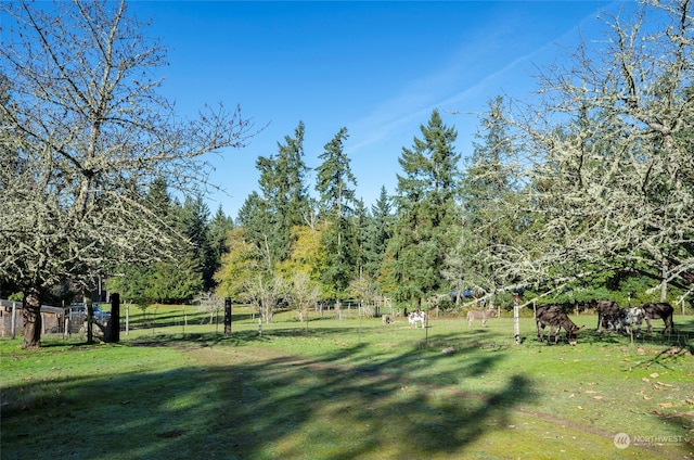 6529 Key Peninsula Hwy NW, Lakebay WA, 98349 land for sale