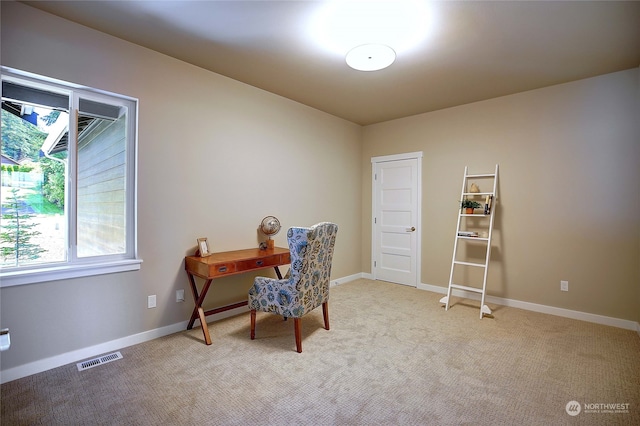 carpeted office space with plenty of natural light