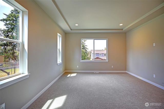 carpeted spare room featuring a tray ceiling