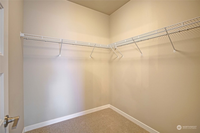 walk in closet with carpet