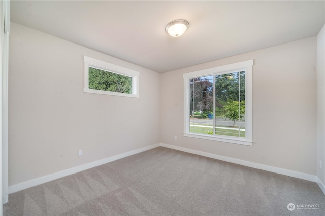 spare room featuring plenty of natural light and light carpet