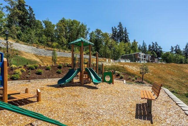 view of jungle gym