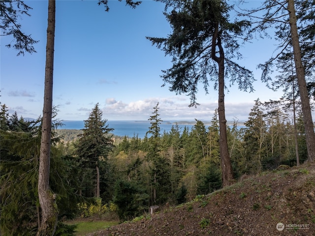 540 Wright Rd, Orcas Island WA, 98245 land for sale