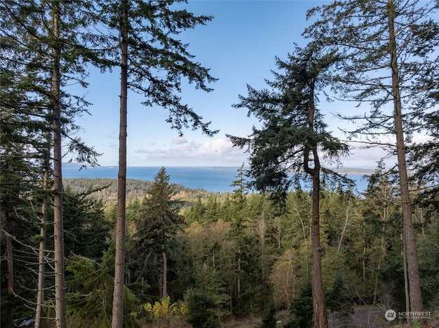 Listing photo 2 for 540 Wright Rd, Orcas Island WA 98245