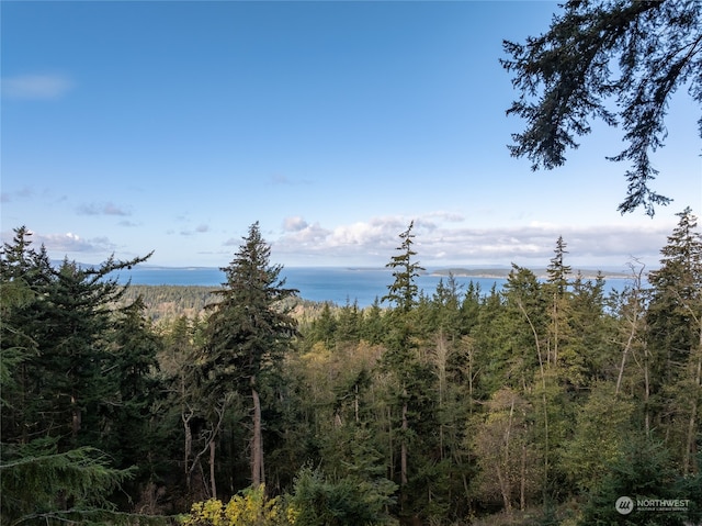 Listing photo 3 for 540 Wright Rd, Orcas Island WA 98245