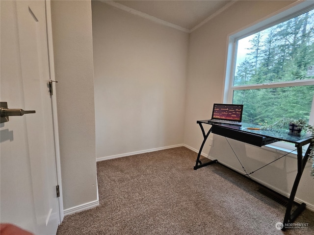 unfurnished office featuring carpet floors and ornamental molding