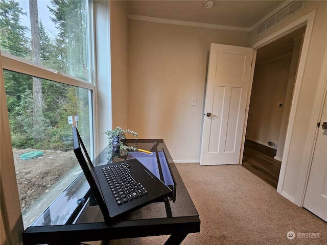 interior space with crown molding and carpet