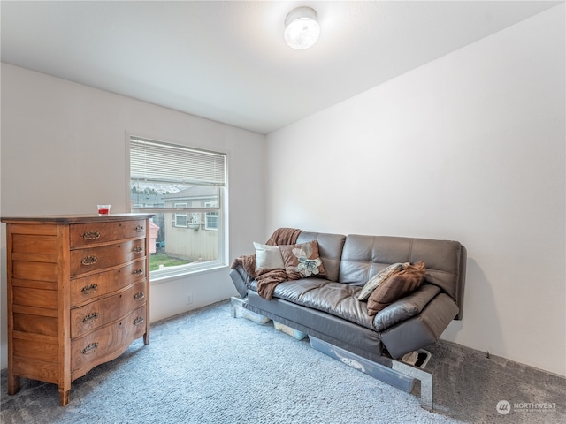 interior space featuring carpet flooring