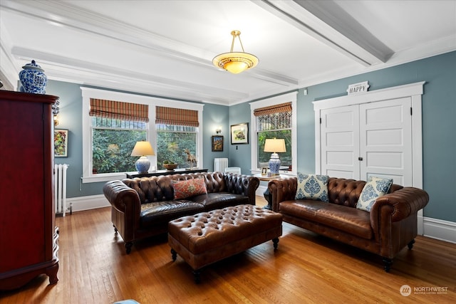 living room featuring hardwood / wood-style flooring, beam ceiling, crown molding, and radiator