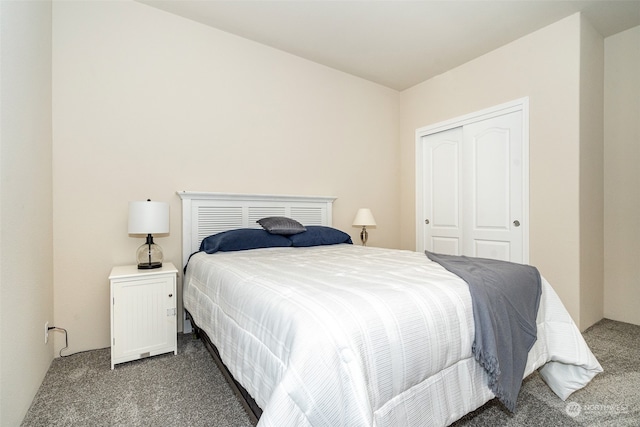 bedroom featuring carpet floors and a closet