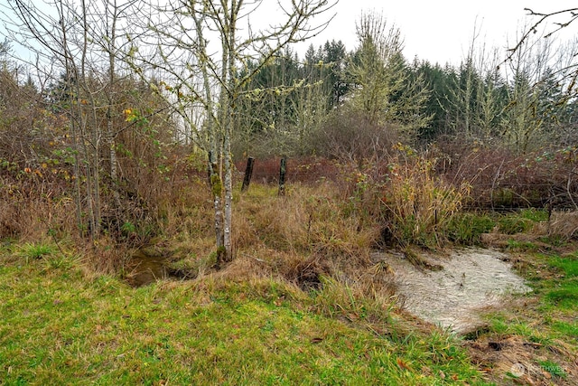 view of local wilderness