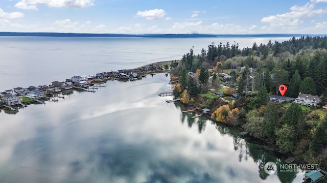 drone / aerial view featuring a water view