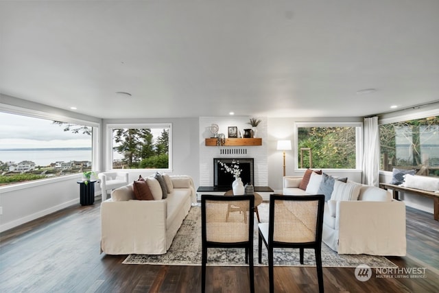 living room featuring a fireplace and dark wood-type flooring