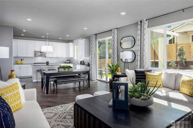 living room featuring dark hardwood / wood-style flooring