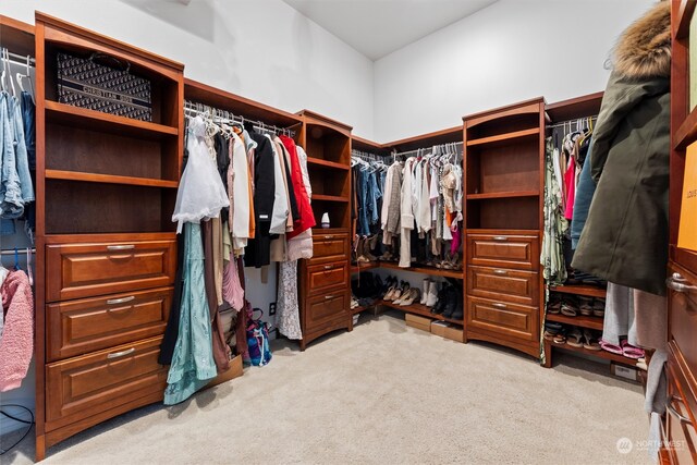 spacious closet with light carpet