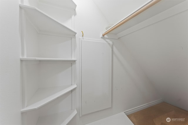 view of walk in closet