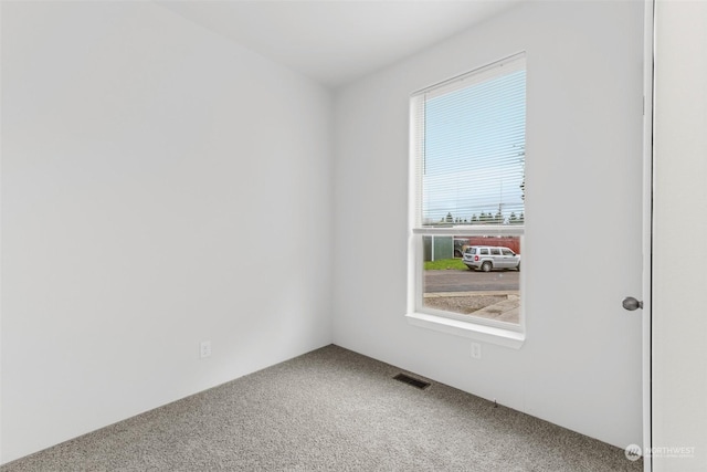 carpeted empty room featuring a healthy amount of sunlight