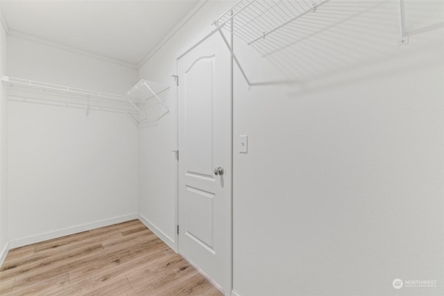 walk in closet featuring light wood-type flooring