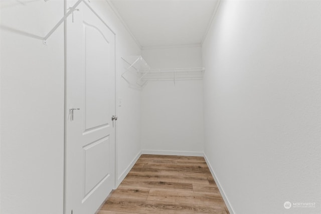 spacious closet featuring light wood-type flooring