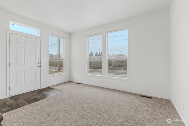 carpeted foyer featuring a healthy amount of sunlight