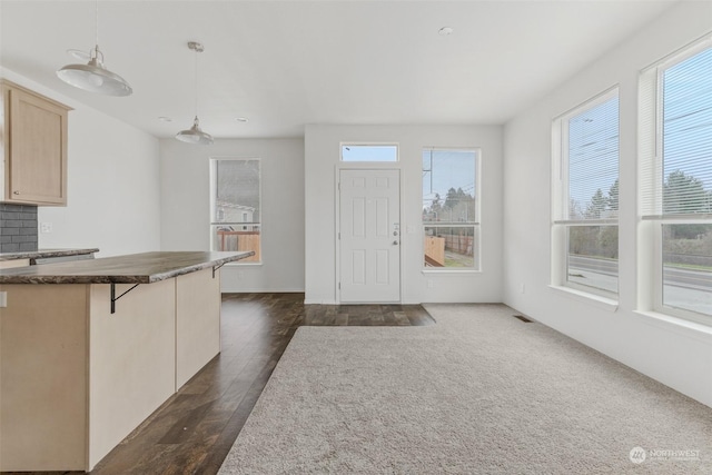 foyer entrance featuring plenty of natural light and dark hardwood / wood-style floors