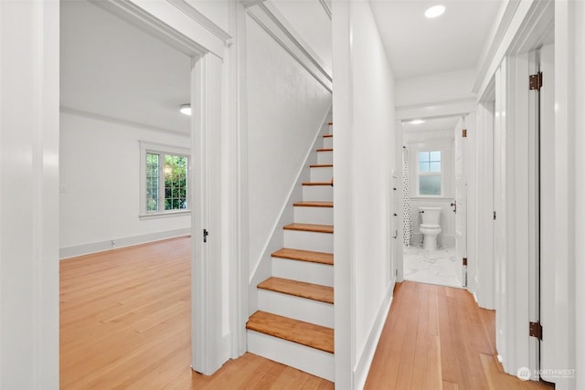 staircase with hardwood / wood-style flooring