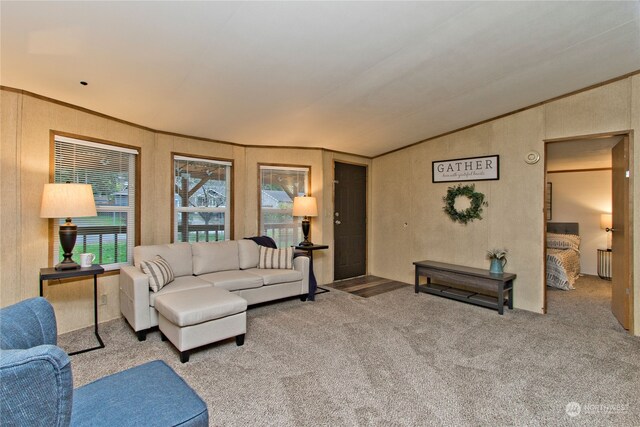 carpeted living room featuring radiator and lofted ceiling