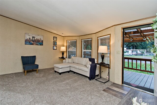 view of carpeted living room