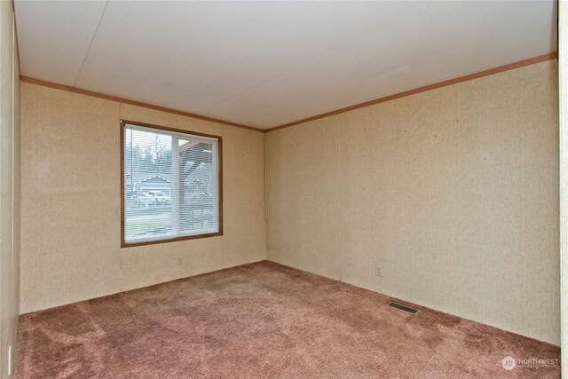 spare room featuring carpet flooring and crown molding