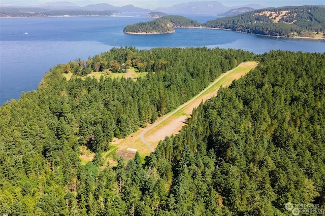 bird's eye view featuring a water and mountain view