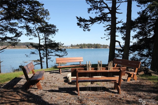 dock area with a water view