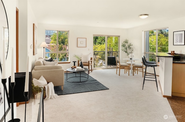 view of carpeted living room