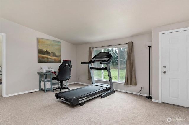 workout area with carpet floors