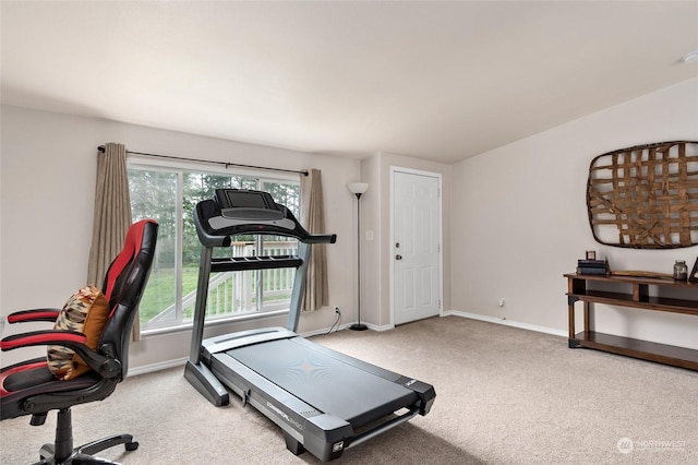 exercise area featuring carpet floors