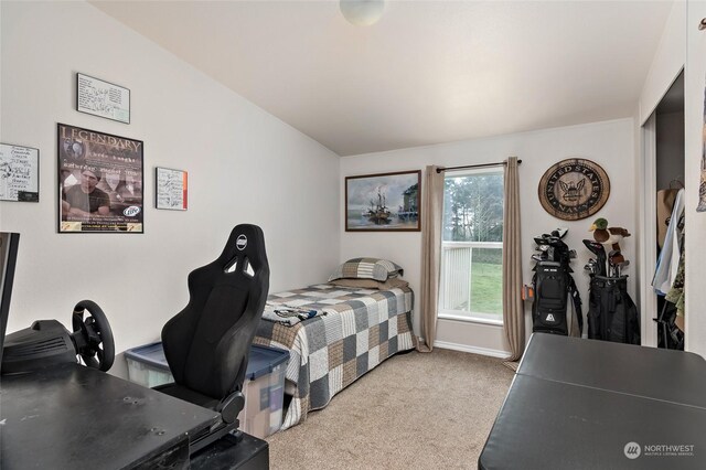 bedroom with light carpet