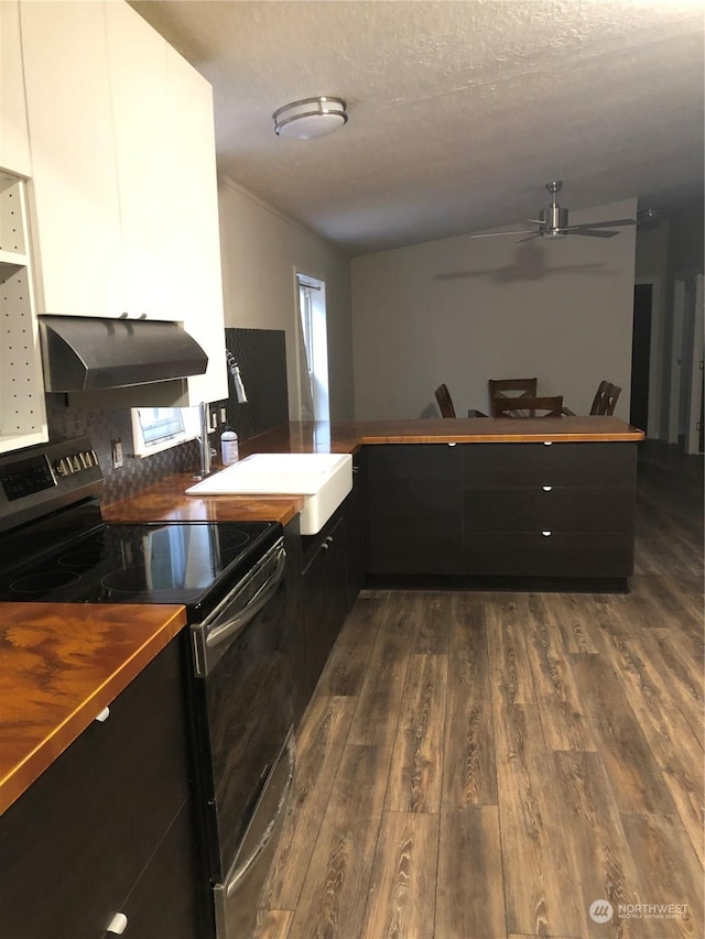 kitchen featuring stainless steel electric stove, ventilation hood, sink, dark hardwood / wood-style floors, and plenty of natural light