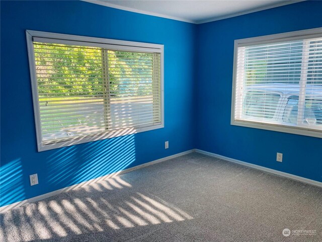 1769 SW Bay St, Port Orchard, WA 98366 - carpeted empty room with healthy amount of natural light and baseboards