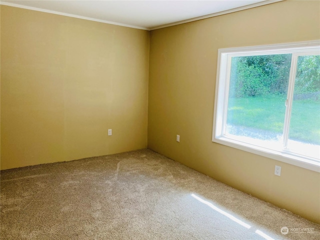 1769 SW Bay St, Port Orchard, WA 98366 - carpeted empty room with healthy amount of natural light and ornamental molding