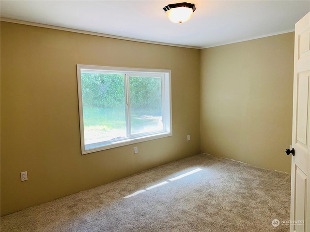 1769 SW Bay St, Port Orchard, WA 98366 - empty room featuring carpet and ornamental molding