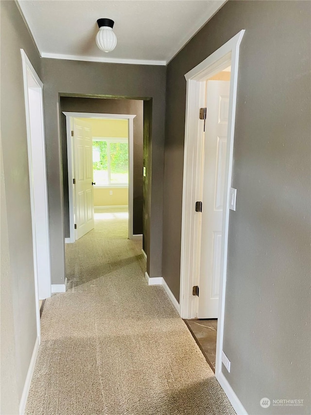 1769 SW Bay St, Port Orchard, WA 98366 - hall featuring carpet, baseboards, and ornamental molding