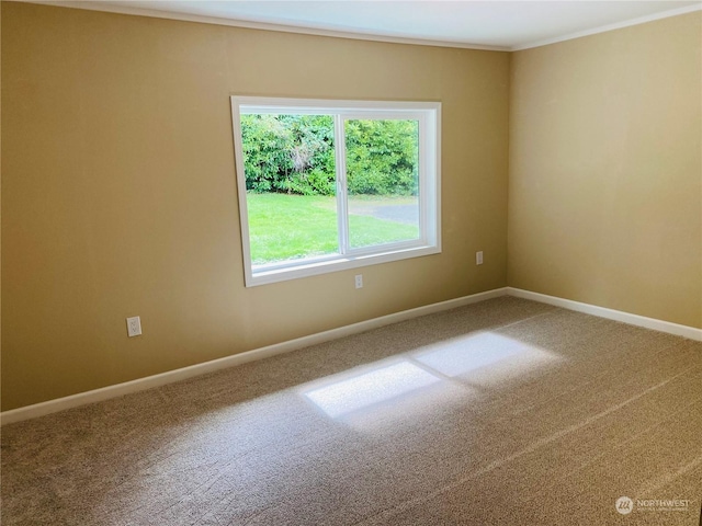 1769 SW Bay St, Port Orchard, WA 98366 - carpeted empty room with crown molding and baseboards