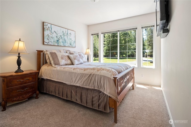 31830 NE Cherry Valley Rd, Duvall, WA 98019 - photo 26