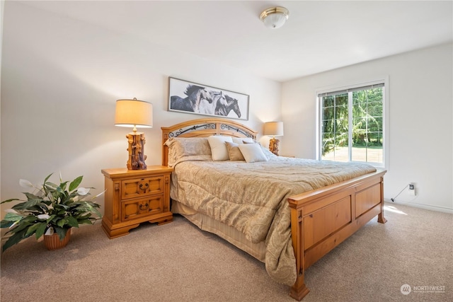 31830 NE Cherry Valley Rd, Duvall, WA 98019 - photo 27