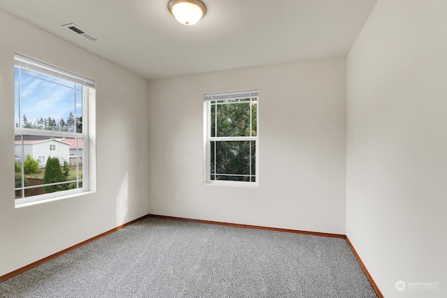 spare room featuring carpet flooring and a wealth of natural light