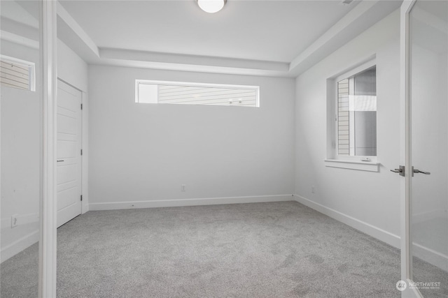 interior space with light carpet and a raised ceiling