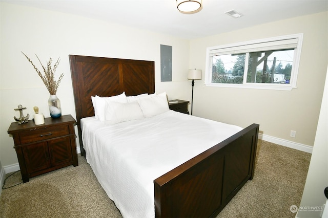 carpeted bedroom with electric panel