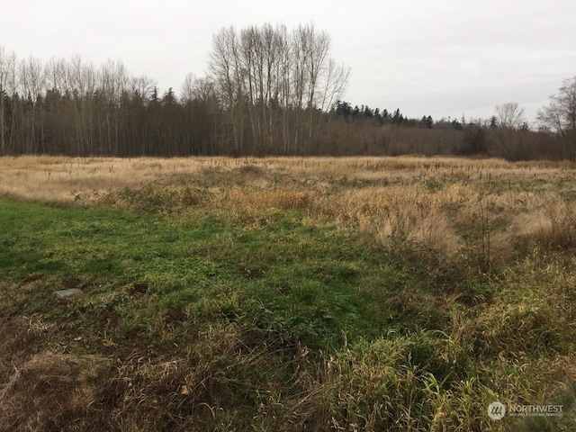 Listing photo 3 for 0LOT1 Shintaffer Rd, Blaine WA 98230